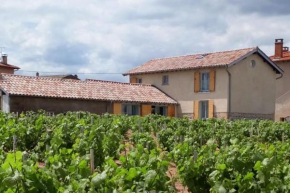 Maison entière au cœur des vignes des Trois Bacchantes !
